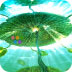 天才中衛(wèi)想轉(zhuǎn)會(huì)豪門，皇馬內(nèi)部問題未解錯(cuò)失機(jī)會(huì)，英格蘭近水樓臺(tái)