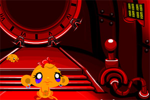 ��С�￪��ϵ��446