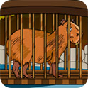 手机百家家乐APP下载官方下载