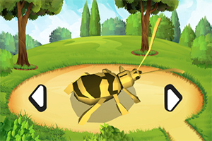 ���ɽ���