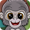 乐鱼全站网页版官方APP