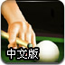 2010台球决赛中文版