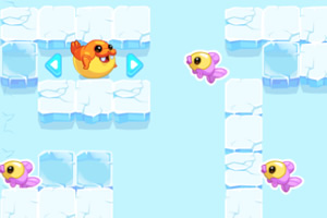 �����С����