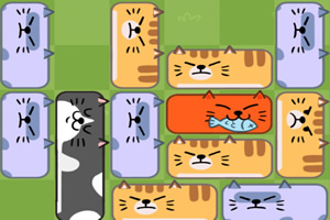 �ſ���è��