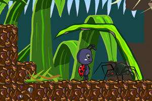 ư������