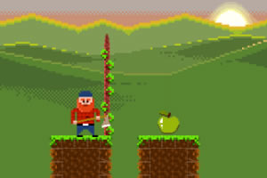 ����Ա������