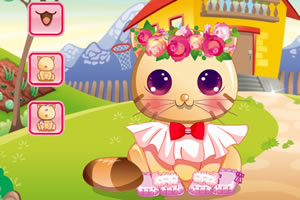 ���СС��è