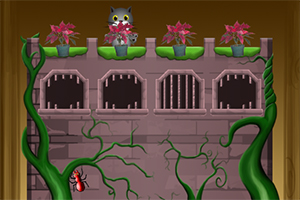 ���ӿ��Ҽ�