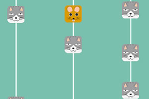 ����Խè��