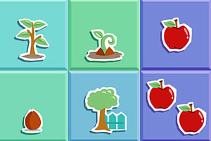 2048ƻ������