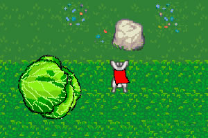 ���ܵ�С����