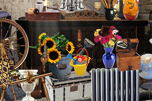 ����ĵ�һ��ѩ