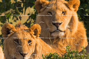 ��������ƴƴ��