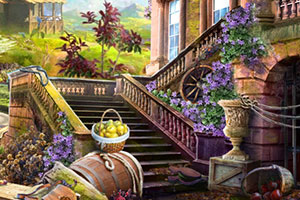 �׹��ĵ�ʯͷ