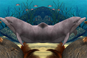 �����������Ҳ�ͬ