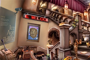 ���ı���