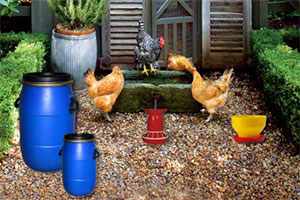 ���������ֳ��