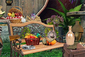 Ů��������