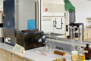 ���ʵ��������Ʒ