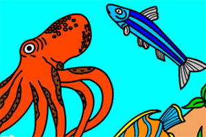 ������������ɫ