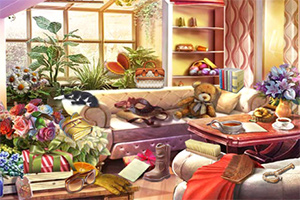 ����������