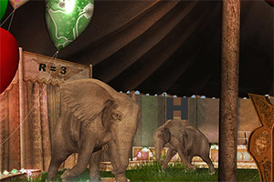 ����������Ϸ��