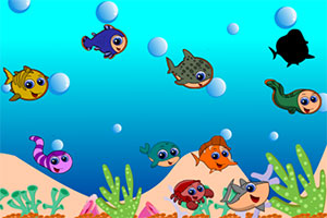 ��������ƥ��