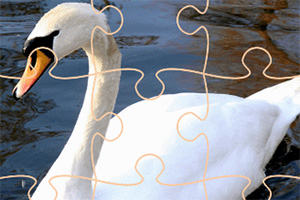 ���������ƴͼ