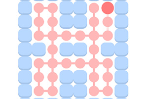 �����հ׸�