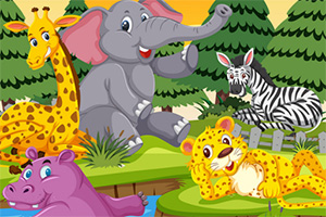 ���Ķ���ƴͼ