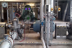 ��¯������