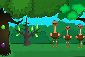 ï��ɭ�ִ�����