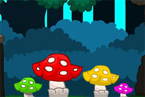 ���볤��¹��û��