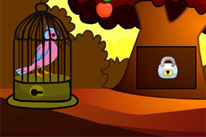 �ȳ��ۺ�С��