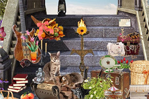 ̽������