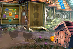 ��Ԯ��ѧ�ĺ�����