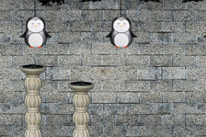 ������ש����