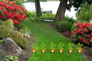 ���߻�԰����