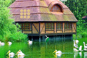 ������Ƭ�羰