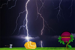 ��Ԯ�ױ�����