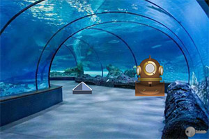 ����ˮ��ݵĸ���