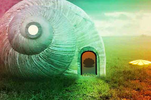 ������ţɭ������