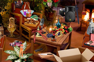 �������տ�