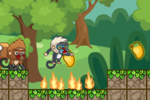 �����ֵ�