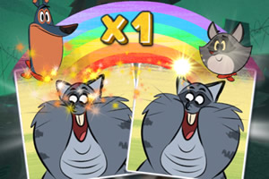 ̫��è���俨