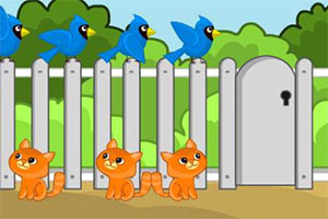 ����С�ù�