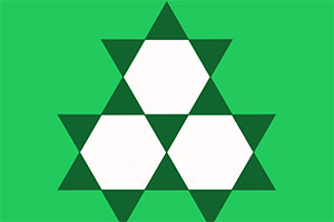 ������ɫ