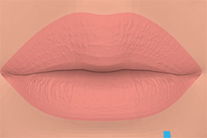 �������ʻ�ױ