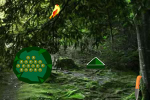 ����ɭ������