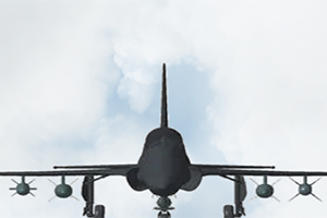 Erison������